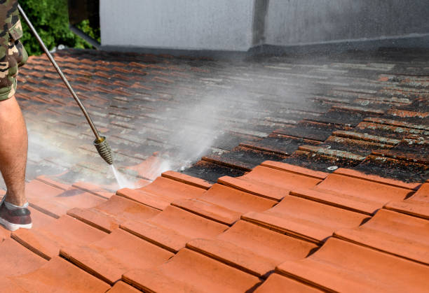 Best Pressure Washing Services Near Me  in Newport, NC
