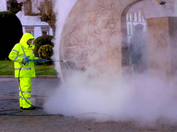 Best Exterior Home Cleaning  in Newport, NC